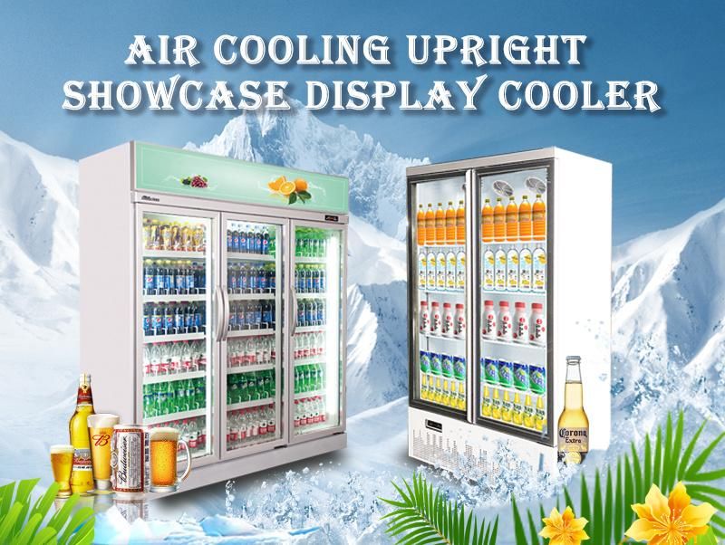 958L Double Glass Door Vertical Soft Drink Showcase Lsc-958fs