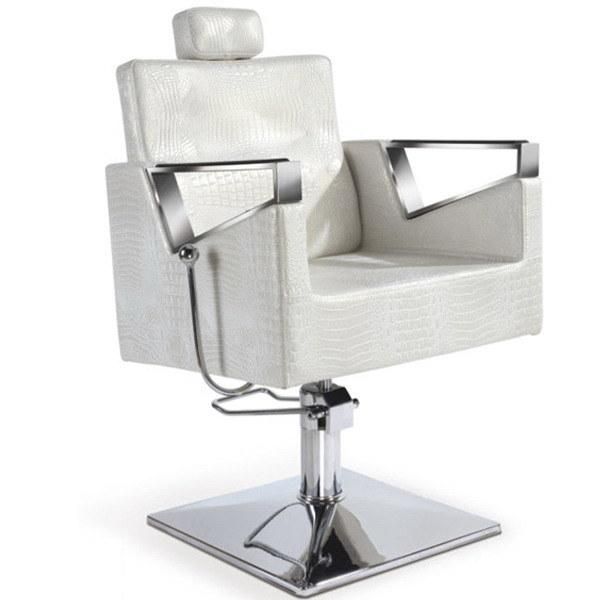 Hl-1167 Salon Barber Chair for Man or Woman with Stainless Steel Armrest and Aluminum Pedal