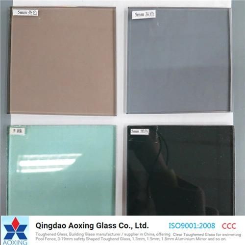 Color Float Glass for Wall Glass/Decorative Glass