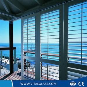 Clear and Tinted Louver Glass for Windows Glass/Bathroom Glass