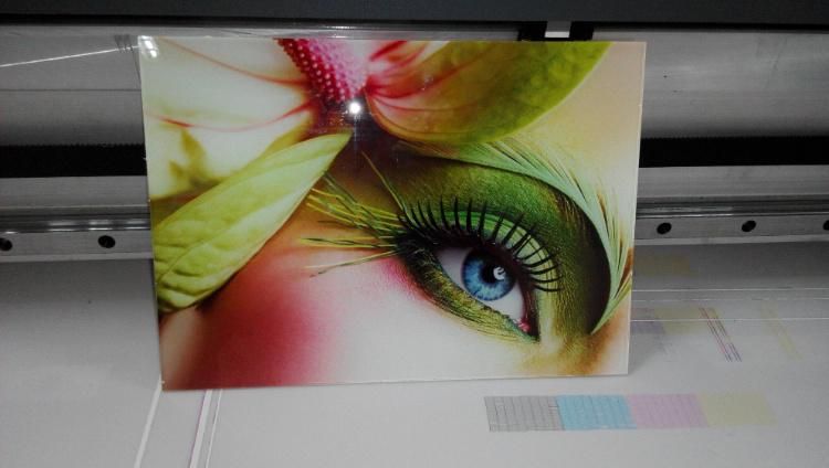 2513L Glass PVC Card Flatbed UV Printing