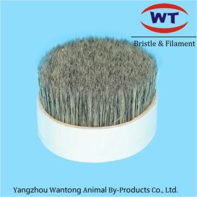 Chungking Natural Grey Pure Boiled Bristles for Brushes