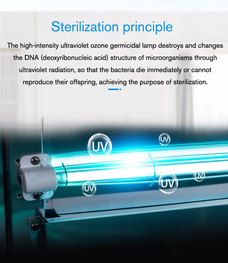 Hot Sale Medical Vertical Ultraviolet Sterilizer UV Disinfection Cabinet