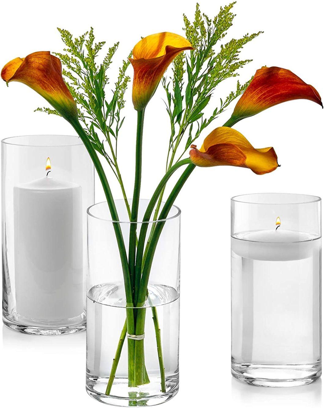 Customized Borosilicate Glass Cylinder Vases Multiple Size Candle Holder