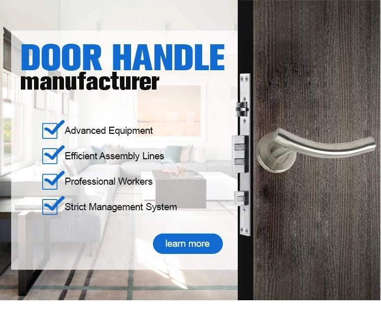 High Quality Stainless Steel Door Glass Door Pull Front Door Handle