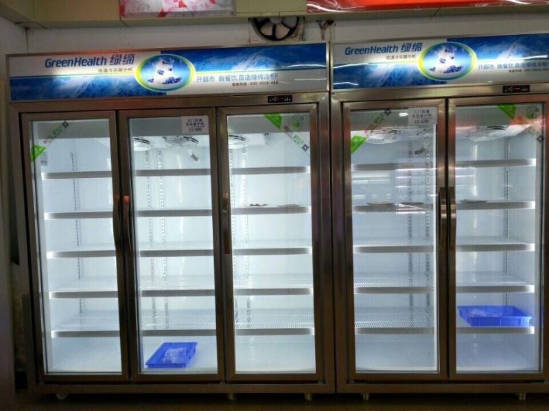 Frost Free Vertical Display Showcase Double Glass Door Freezer