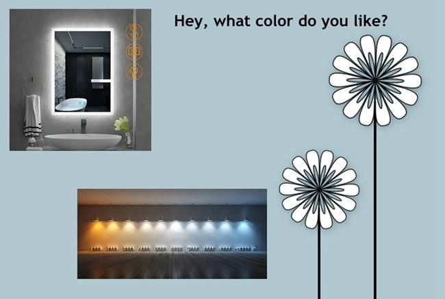 2020 New Design Wall Mounted Bath Decoration LED Mirror with Defogger