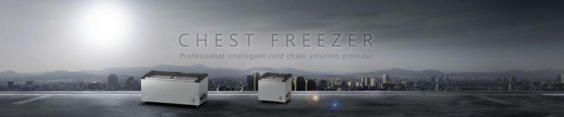 Chinese Manufacturer Ice Cream Chest Freezer Showcase Sliding Glass Door Display Freezer