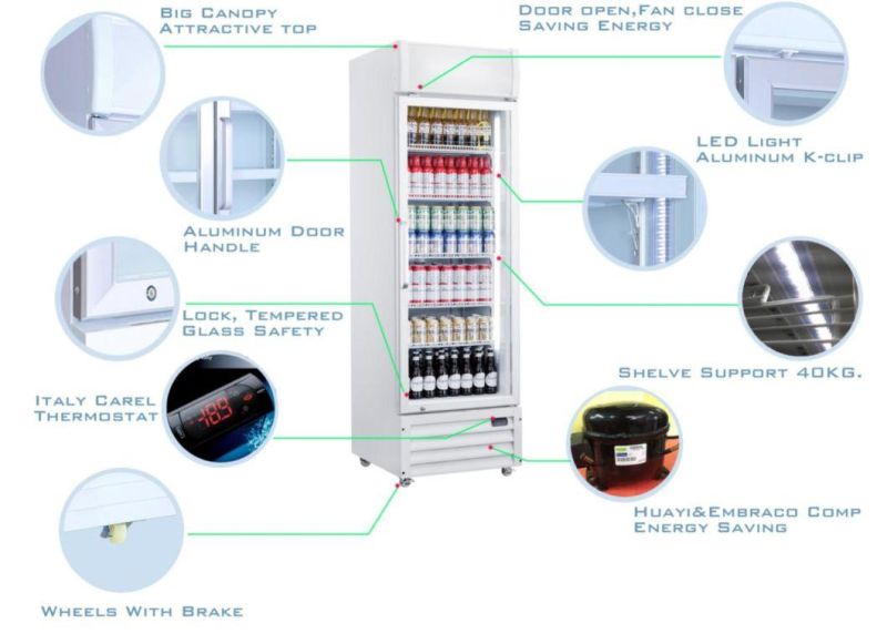 Single Door Refrigerator Showcase Cooler with Tempered Glass Door