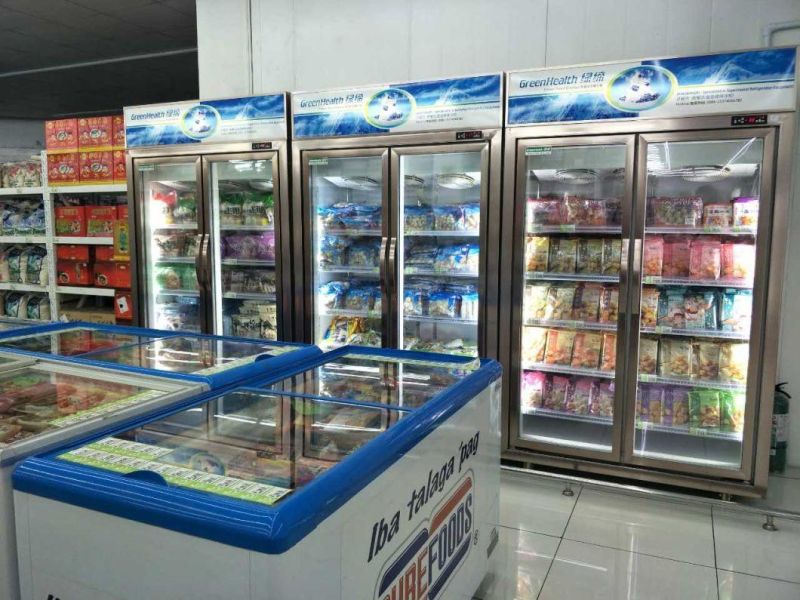 Upright Glass Door Freezer Showcase in Double Door
