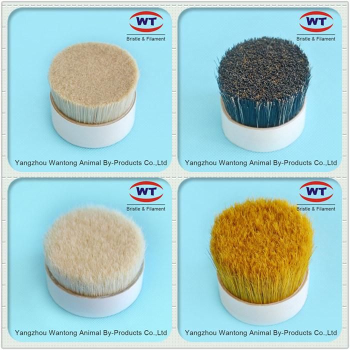 High Quality Chungking 60~90%Tops Natural White Boiled Bristle for Paint Brush