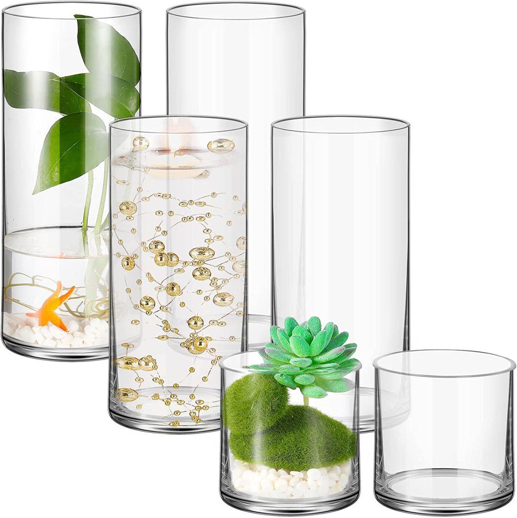 Customized Borosilicate Glass Cylinder Vases Multiple Size Candle Holder