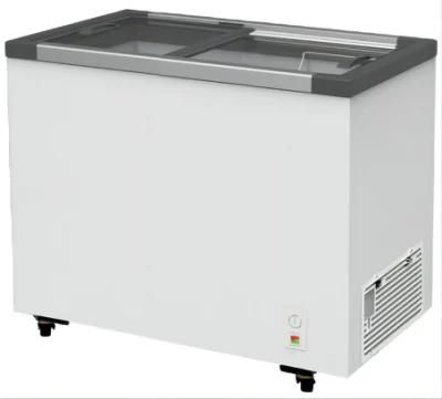 418 Liter Supermarket Fridge Commercial Big Capacity Drinking Showcase Double Door Chest Freezer