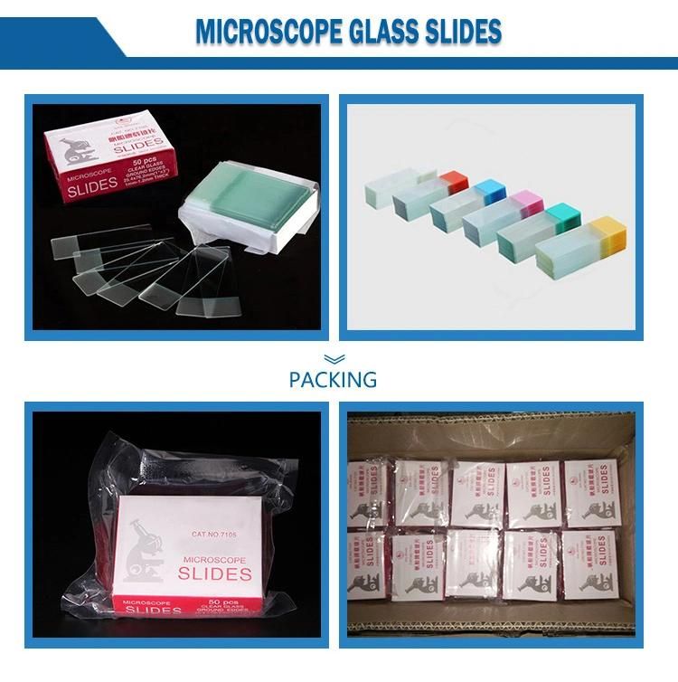 Disposable Plastic/ Glass Laboratory Micro Centrifuge Tube Rack