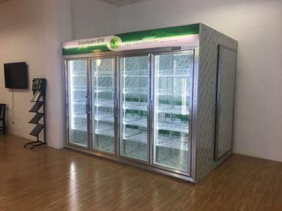 Glass Doors Remote System Assembled Freezer / Chiller Display Cabinet/ Back Load Cool Room