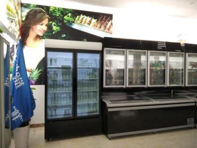 Glass Door Display Refrigerator Commercial Freezer Cabinet for Supermarket