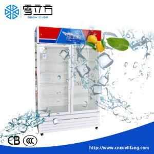 Showcase Ice Cream Display Upright Commercial Glass Door Freezer