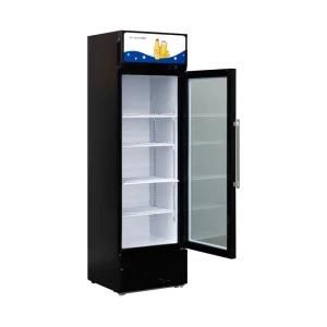 10cuft Single Flat Glass Door Freezer Display Beverage Cooler Upright Showcase