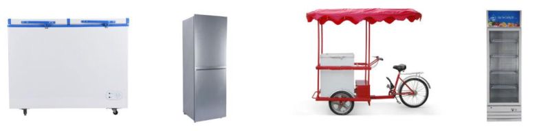 Commercial Upright DC 24V Showcase 300L