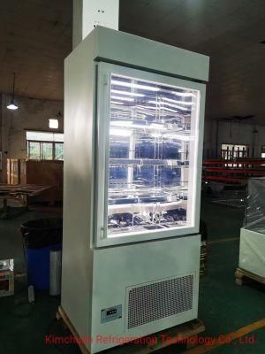 Ice Cream Fridge Ice Cream Display for Flash Italian Portable Countertop Bakery Gelato Showcase Freezer Machine