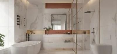 Modern Design Plywood Bathroom Vanity Cabinet with Ceramic Sink and LED Bathroom Mirror
