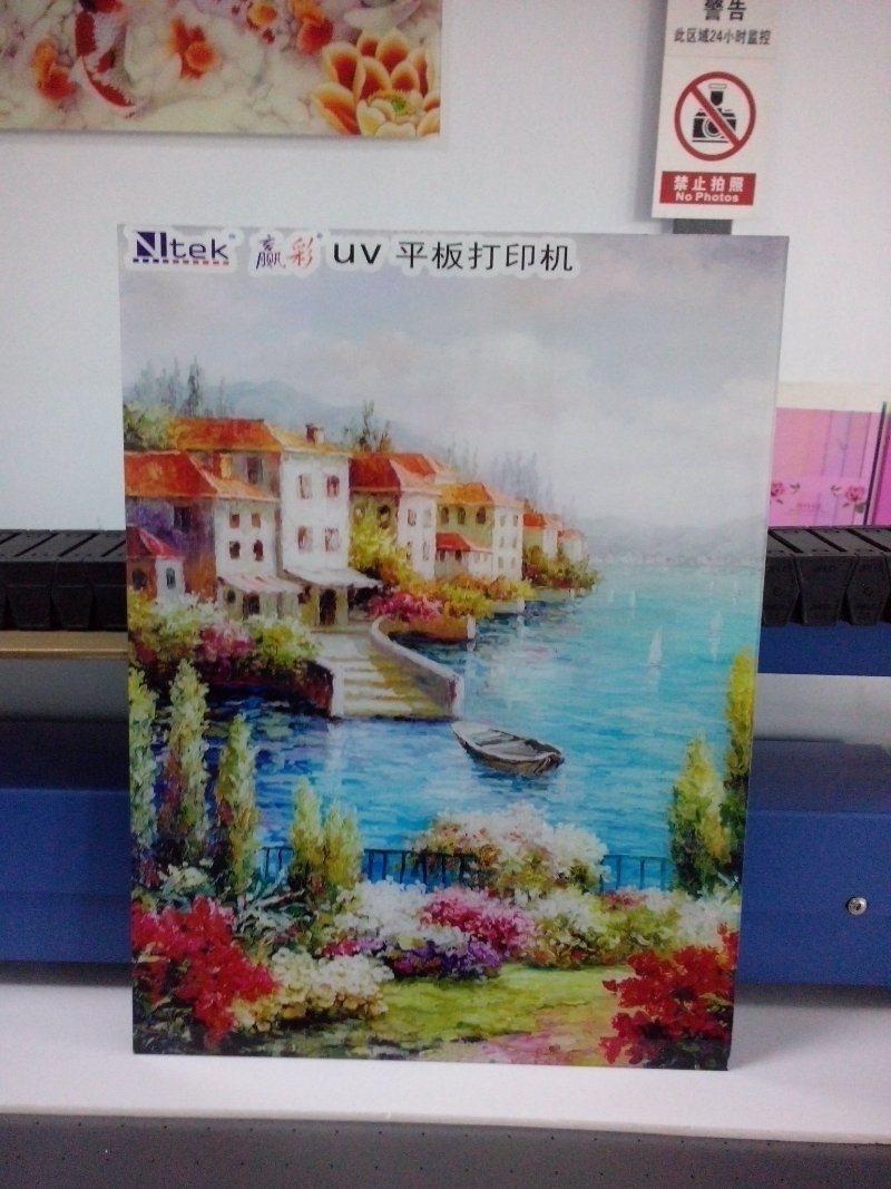 Ntek Chinese Glass UV LED Digital Printer 6090 for Sale